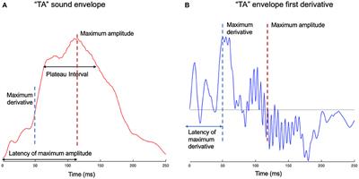 Syllable-Initial Phonemes Affect Neural Entrainment to Consonant-Vowel Syllables
